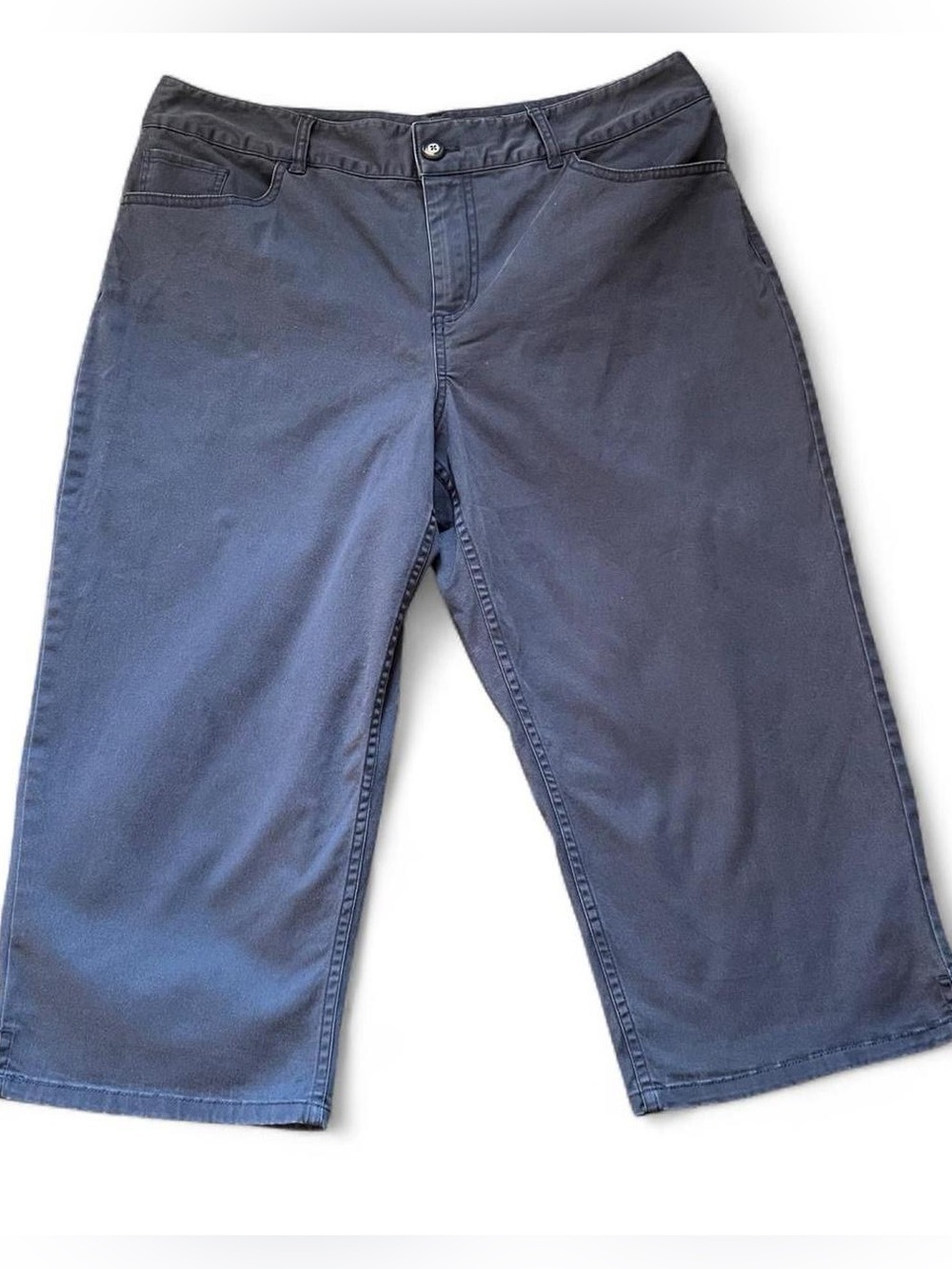 Women's Blue Coldwater Creek Capris